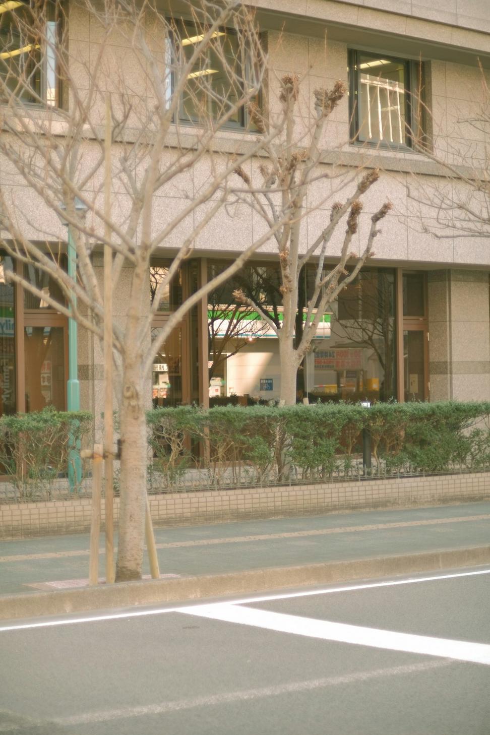 Celesthorwyn Forge Legal Team